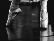 DSC_0038_filtred.jpg DSC_0038_filtred.jpg