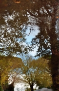 DSC_1391fffff.jpg DSC_1391fffff.jpg