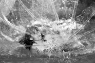 DSC_1777_gfhjkvnbmn.jpg DSC_1777_gfhjkvnbmn.jpg