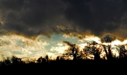 DSC_2259fgh.jpg