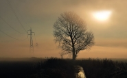 DSC_3177fyhj6.jpg