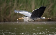 DSC_3721.jpg DSC_3721.jpg