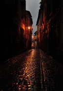 DSC_8893_fg.jpg
