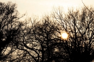 IMG_9102u87.jpg