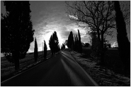 Immprova1_267.jpg Immprova1_267.jpg