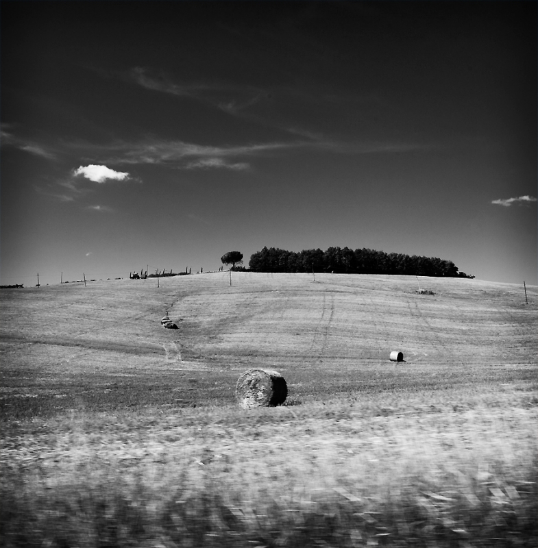 Clicca per l'immagine full size