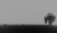 Nome File=terre-di-lomellina.jpg
Dimensione File=333KB
Dimensioni=1024x597
Data aggiunta=Giu 17, 2014 terre-di-lomellina.jpg