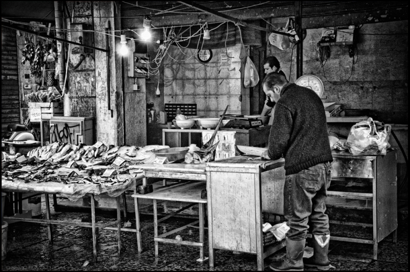 Clicca per l'immagine full size