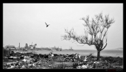 Nome File=silvio_ruvolo.jpg
Dimensione File=286KB
Dimensioni=900x520
Data aggiunta=Mag 24, 2010 silvio_ruvolo.jpg
