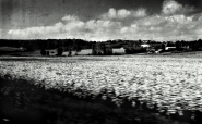 Nome File=girasoli555MM.jpg
Dimensione File=384KB
Dimensioni=1000x618
Data aggiunta=Ago 07, 2010 girasoli555MM.jpg