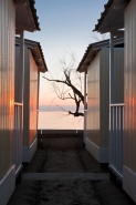 Nome File=Cabine_al_tramonto.jpg
Dimensione File=301KB
Dimensioni=600x900
Data aggiunta=Gen 18, 2011 Cabine_al_tramonto.jpg