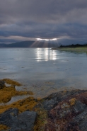 Nome File=Loch_Linnhe.jpg
Dimensione File=380KB
Dimensioni=600x900
Data aggiunta=Ago 31, 2010 Loch_Linnhe.jpg