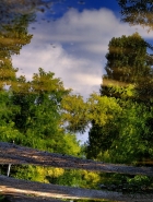 Nome File=pozzangheramic.jpg
Dimensione File=273KB
Dimensioni=609x800
Data aggiunta=Lug 31, 2011 pozzangheramic.jpg