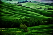 Nome File=Verde_d_Orcia.jpg
Dimensione File=469KB
Dimensioni=1000x665
Data aggiunta=Mag 07, 2012 Verde_d_Orcia.jpg
