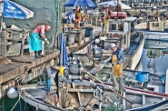 Nome File=Pescatori.jpg
Dimensione File=339KB
Dimensioni=1000x664
Data aggiunta=Nov 09, 2010 Pescatori.jpg