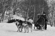 slitta-2-bw-web.jpg slitta-2-bw-web.jpg