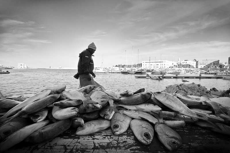 Clicca per l'immagine full size