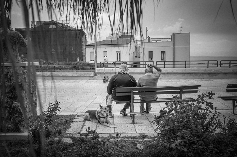 Clicca per l'immagine full size