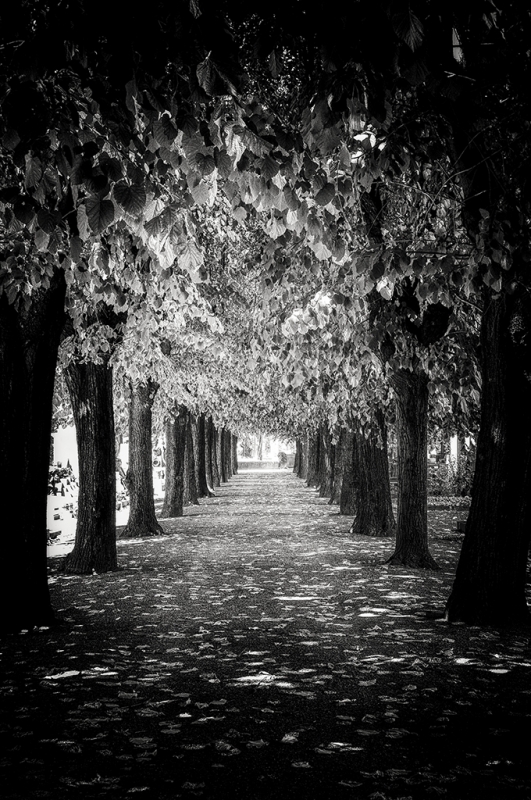 Clicca per l'immagine full size