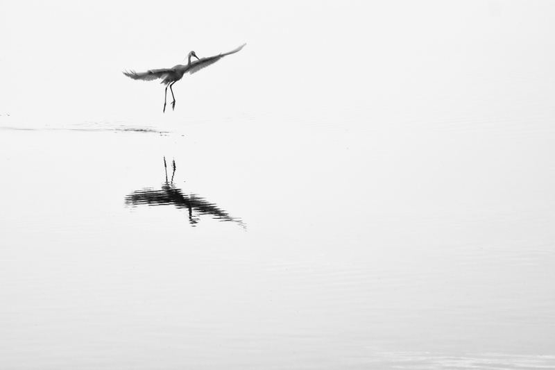 Clicca per l'immagine full size