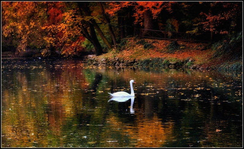 Clicca per l'immagine full size