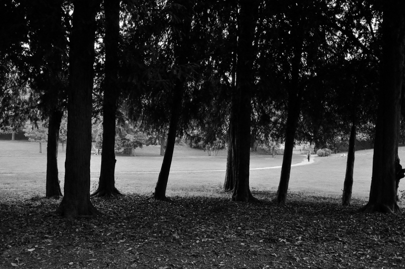 Clicca per l'immagine full size