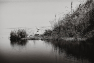 _SER0377_B_W.jpg
