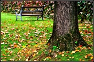 Nome File=autunno_emotivo_IV.jpg
Dimensione File=384KB
Dimensioni=900x600
Data aggiunta=Nov 11, 2010 autunno_emotivo_IV.jpg