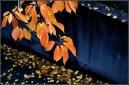 Nome File=autunno_emotivo_act_III.jpg
Dimensione File=368KB
Dimensioni=900x600
Data aggiunta=Nov 09, 2010 autunno_emotivo_act_III.jpg
