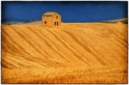 Nome File=fields_of_gold_MM.jpg
Dimensione File=391KB
Dimensioni=900x601
Data aggiunta=Apr 16, 2011 fields_of_gold_MM.jpg