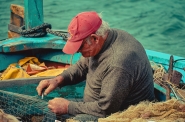fisherman_hands.jpg