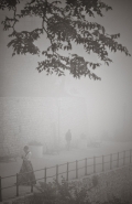 fog_presence4.jpg