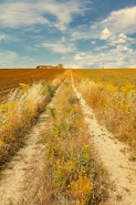 Nome File=route_to_heaven.jpg
Dimensione File=591KB
Dimensioni=734x1100
Data aggiunta=Ott 27, 2024 route_to_heaven.jpg