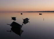 Nome File=barche.jpg
Dimensione File=267KB
Dimensioni=900x657
Data aggiunta=Ott 23, 2010 barche.jpg