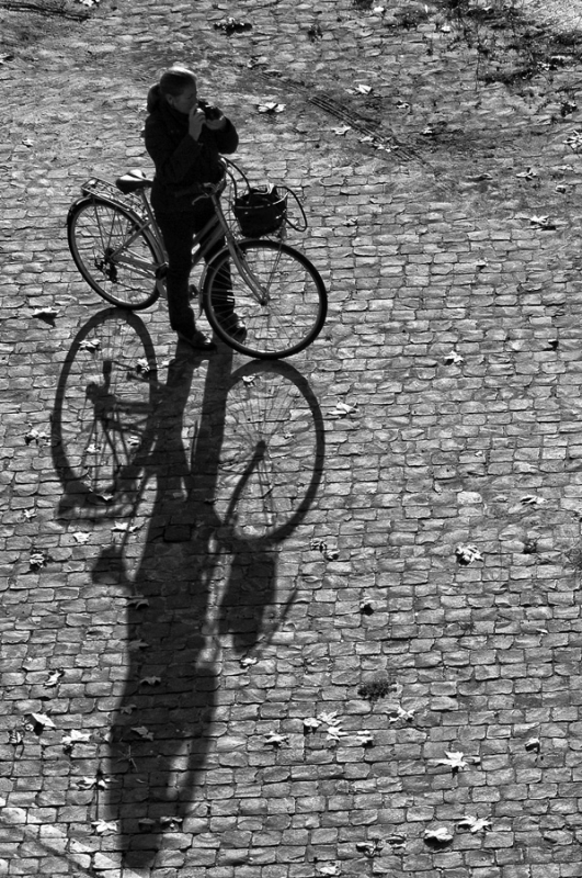 Clicca per l'immagine full size