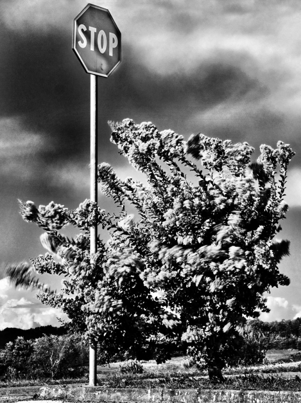 Clicca per l'immagine full size