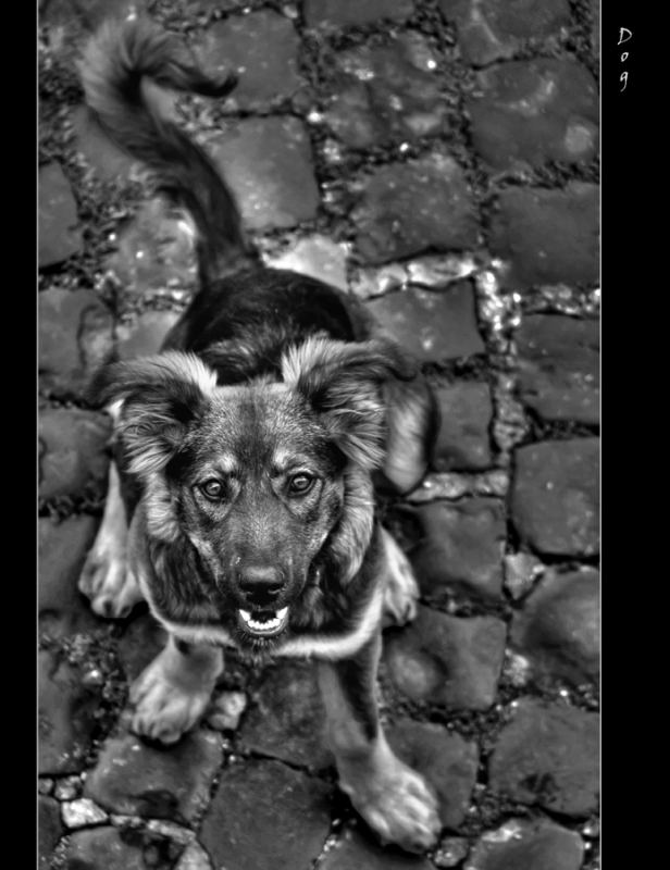 Clicca per l'immagine full size