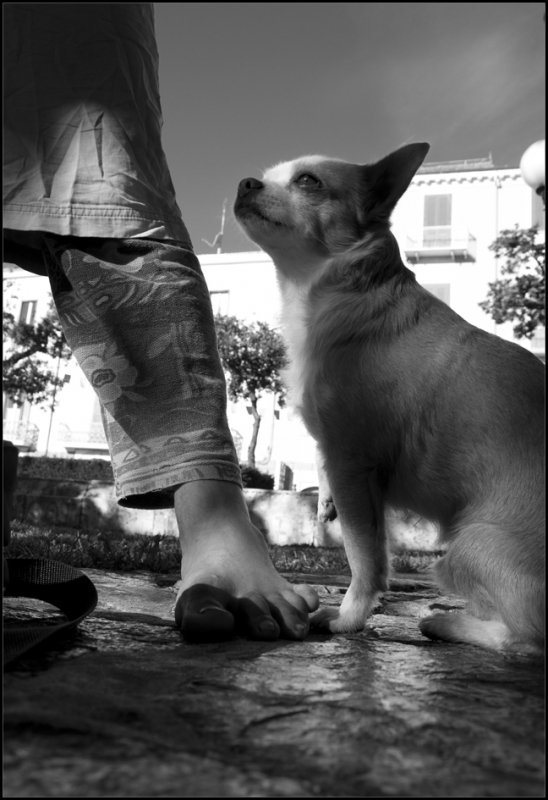 Clicca per l'immagine full size