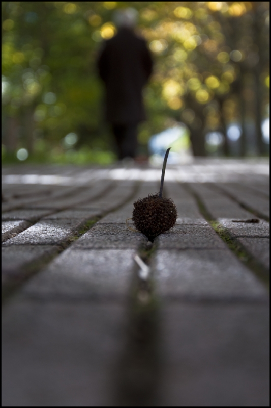Clicca per l'immagine full size