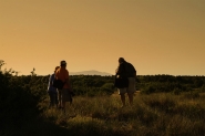 Nome File=imgJPEG.jpg
Dimensione File=112KB
Dimensioni=1000x667
Data aggiunta=Lug 12, 2011 imgJPEG.jpg