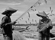 Nome File=fishes_in_the_sky.jpg
Dimensione File=387KB
Dimensioni=835x615
Data aggiunta=Mag 15, 2011 fishes_in_the_sky.jpg