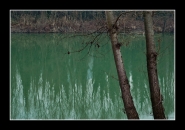 al-fiume#2.jpg