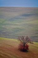 Nome File=al-di-là .jpg
Dimensione File=398KB
Dimensioni=640x960
Data aggiunta=Dic 31, 2010 al-di-là .jpg