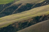 colline-senesi.jpg