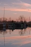 Nome File=massaciuccoli(1).jpg
Dimensione File=393KB
Dimensioni=675x1024
Data aggiunta=Gen 17, 2011 massaciuccoli(1).jpg