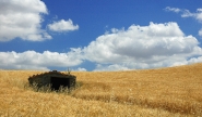 casaGRANO-.jpg