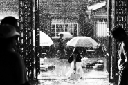 Nome File=rain2.jpg
Dimensione File=328KB
Dimensioni=1024x683
Data aggiunta=Nov 26, 2010 rain2.jpg