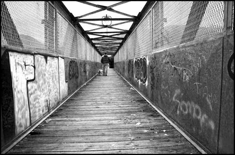 Clicca per l'immagine full size