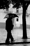 Nome File=Rain_Man_MM.jpg
Dimensione File=332KB
Dimensioni=683x1024
Data aggiunta=Giu 28, 2011 Rain_Man_MM.jpg
