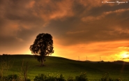 _MG_0520_HDR_IS.jpg